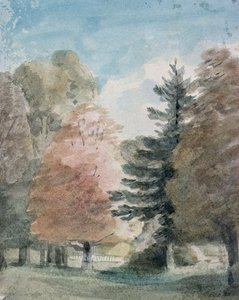 Estudio de árboles en un parque de John Constable