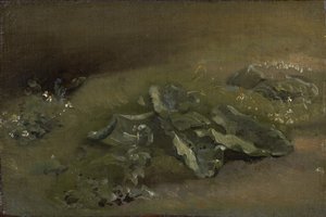 Estudio de un bardana, c.1810-14 o c.1828 de John Constable