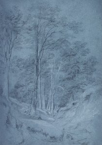 Estudio de fresno y otros árboles de John Constable