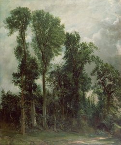 Árboles en Hampstead de John Constable