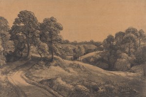 Ladera arbolada con un camino en retroceso