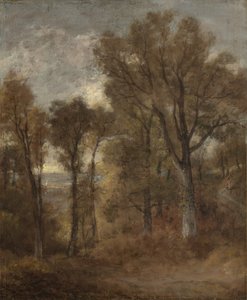 Escena del bosque con vista a Dedham Vale de John Constable