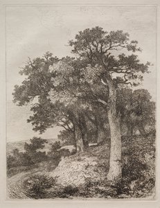 En Colney de John Crome