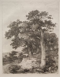 En Colney de John Crome