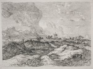 Mousehold Heath de John Crome