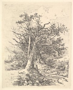 Troncos de Árboles y Camino, 1811-13 de John Crome