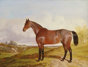 Estudio de un cazador bayo en un paisaje, 1854