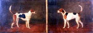 Dos Perros de Caza en Interiores