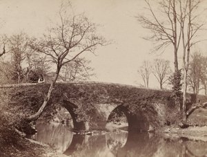 El puente del país (Puente Staplylton, Bristol) de John Dillwyn Llewelyn