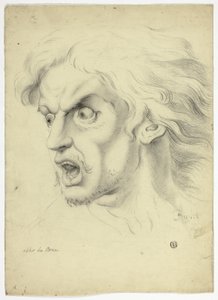 Fright de John Downman