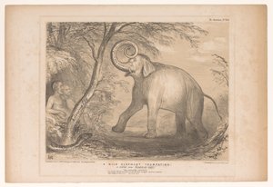 Spotprent conoció a Lord Ellenborough como een wilde olifant Un elefante salvaje tocando la trompeta. ¡Una escena de Paradise Lost! (título en el objeto) Bocetos HB (título de la serie en el objeto) de John Doyle