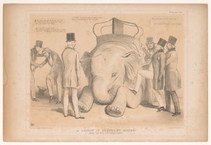 Spotprent over de aanstelling van Henry Hardinge como gobernador de India ¡Una lección de montar en elefante! Estudiado de la Naturaleza en el Jardín Zoológico (título sobre el objeto) Bocetos HB (título de la serie en el objeto)