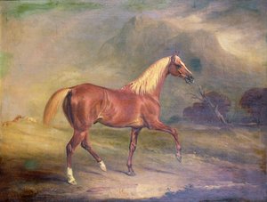Semental árabe castaño de John E. Ferneley