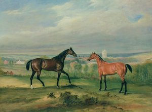 Los Cazadores Favoritos del Conde Bathyany en Melton Mowbray