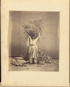 [Joven campesina india con ramitas en la cabeza]