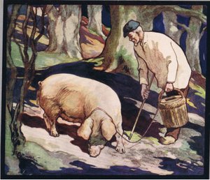 Un cerdo buscando trufas, ilustración de "Helpers Without Hands" de Gladys Davidson, publicada en 1919 (litografía en color) de John Edwin Noble