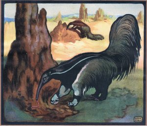 Oso hormiguero