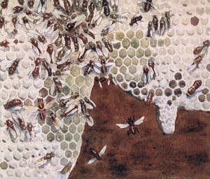 Abejas haciendo miel, ilustración de "Helpers Without Hands" de Gladys Davidson, publicada en 1919 (litografía en color) de John Edwin Noble