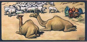 Camellos