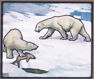 Oso polar