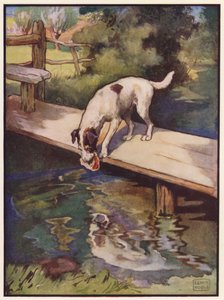 El perro y la sombra (litografía en color) de John Edwin Noble