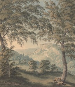 Matlock High Tor, Derbyshire de John Emes