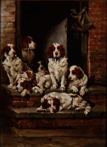Spaniels por doquier de John Emms