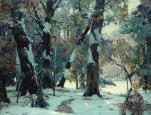 Lugares Silenciosos de John Fabian Carlson
