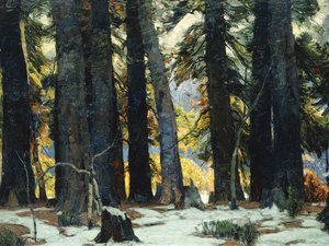 El Santuario de John Fabian Carlson