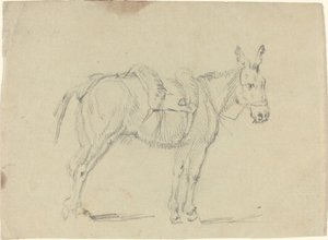 Burro estirando una pata trasera de John Flaxman
