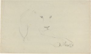 León