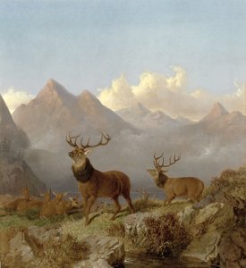 (detalle) Ciervos y Ciervas en un Paisaje de las Tierras Altas, 1864 de John Frederick Herring Junior