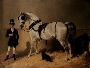 Un caballo de carruaje de St. James de John Frederick Herring Senior