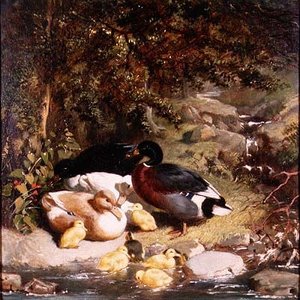 Patos y patitos de John Frederick Herring Senior