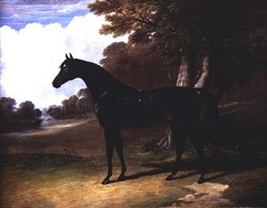 Gaucus, un caballo bayo oscuro en un paisaje boscoso de John Frederick Herring Senior