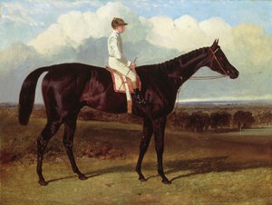 Jonathan Wild, un caballo de carreras oscuro, en Goodwood, T.Ryder montado, 1846 de John Frederick Herring Senior