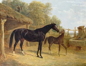 Ligereza, propiedad de J.C.Cockerill Esq., con su potro Reina Isabel, propiedad de Lord Dorchester, 1843