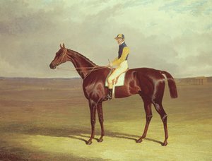 La muleta del Sr. M. Stanley en Newmarket Heath, 1833 de John Frederick Herring Senior