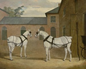 Los Caballos Grises del Sr. Sowerby en su Cochera en Putteridge Bury, Hertfordshire, 1836