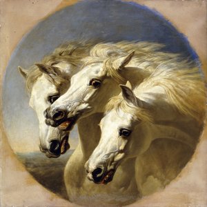 Los caballos del faraón, 1848