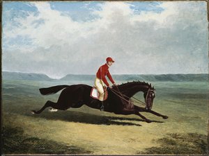 El barón con Bumpy Up, en Newmarket de John Frederick Herring Senior