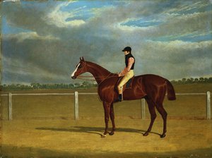 El caballo de carreras "El Coronel" con William Scott de John Frederick Herring Senior