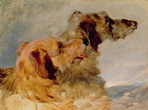 Dos galgos, 1851 de John Frederick Herring Senior