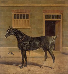 Imagen Desconocida de John Frederick Herring Senior
