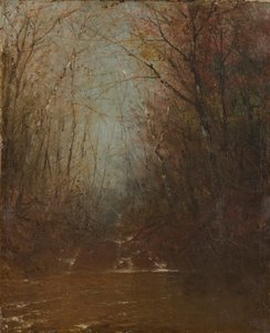 Interior del bosque con arroyo de John Frederick Kensett