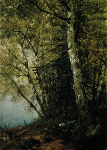 Estudio de hayas de John Frederick Kensett