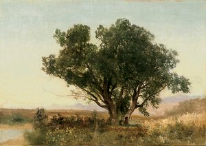 La Cordillera Frontal, Colorado de John Frederick Kensett