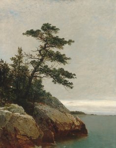 El viejo pino, Darien, Connecticut, 1872 de John Frederick Kensett