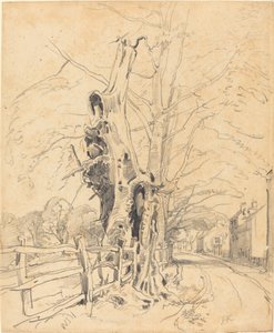 Árboles junto a una valla de rieles