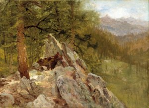 Paisaje occidental de John Frederick Kensett